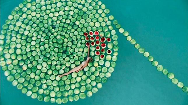 Donald Rothfeld Collection of Contemporary Israeli Art. Sigalit Landau. "Dead See," 2005. Photograph.